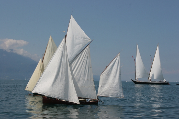 Regate Vieux Bateaux - 202 - 2008